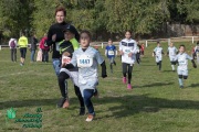 Jaszsag-dinamikaja-futoverseny_20221022306