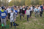 Jaszsag-dinamikaja-futoverseny_20221022383